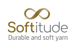 Softitude Logo