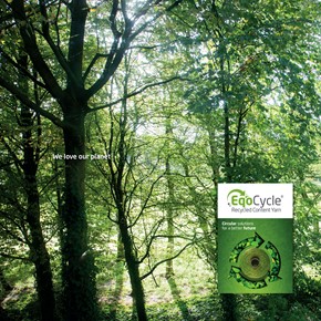 Colormind Eqocycle
