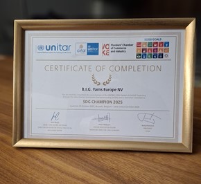 Certificate Sdgchampion 2025