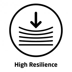 M 1590761460 High Resilience En